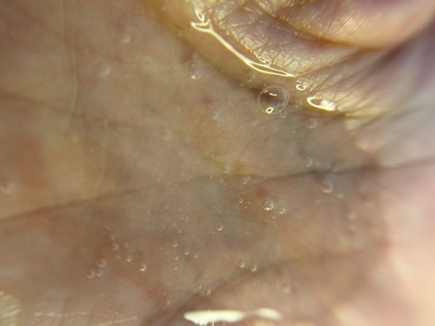 IMG_9995-64d5d.jpeg